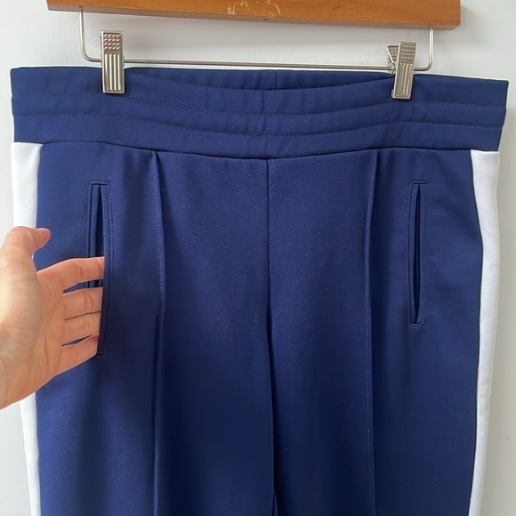 Aritzia Babaton TNA Navy Blue White Stripe Tuxedo Pant track jogger, sz M (S) - Picture 5 of 14